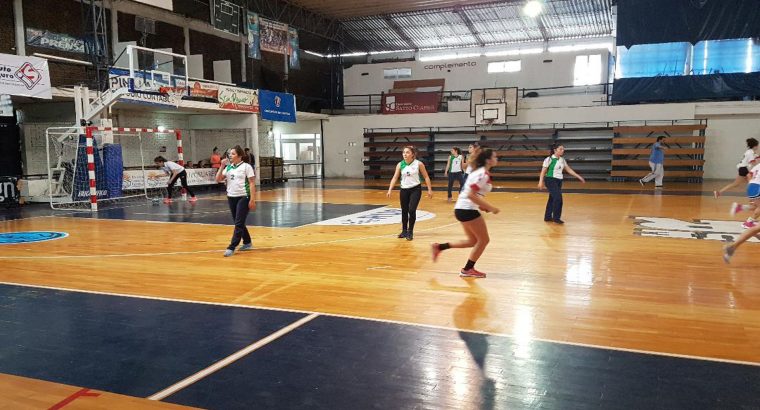 Más de 1.800 estudiantes participaron de los interescolares regionales de handball