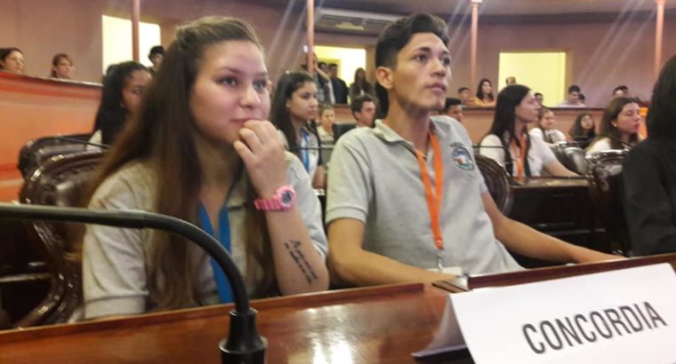 Estudiantes de la Esc. de Educ. Integral No 25 María Ana Mac Cotter de Madrazzo defendieron su iniciativa en el Senado Juvenil