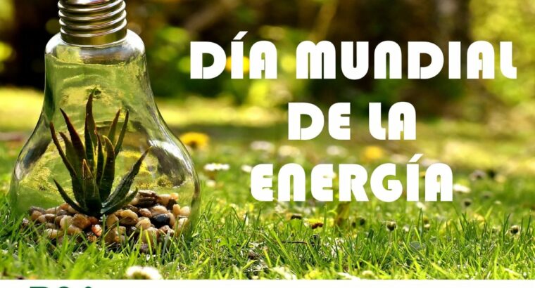 14 de Febrero: Día Mundial de la Energía
