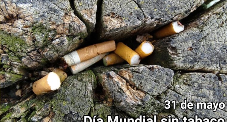 31 de Mayo – “Día Mundial sin Tabaco”