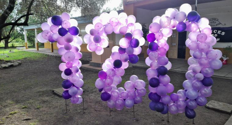 Rosario del Tala: Emotivo acto por el aniversario del escuela Violeta