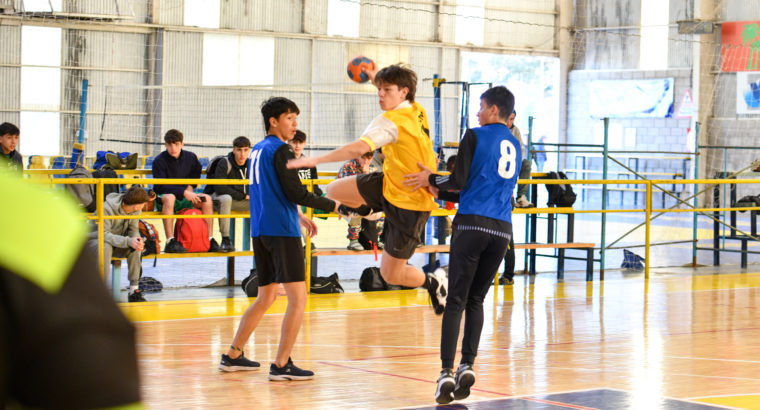 Interescolares handball sub-16