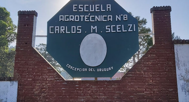 La provincia aporta soluciones al transporte de alumnos en la escuela Scelzi de Concepción del Uruguay