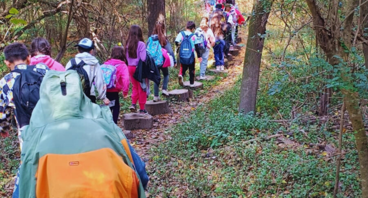 Más de 20 escuelas visitaron el Parque Escolar Rural Enrique Berduc para disfrutar de la naturaleza
