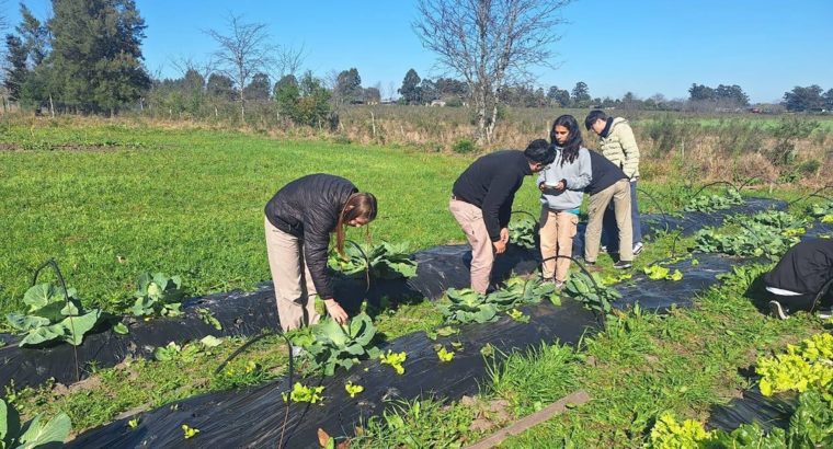 Escuelas agrotécnicas participarán de la Expo Rural en Concordia