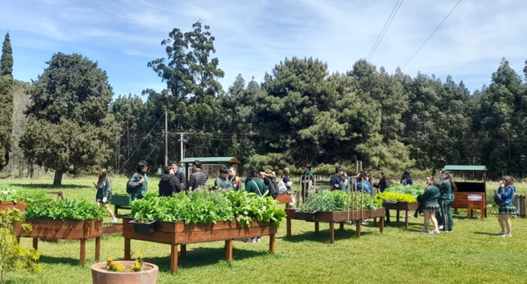 Exitosa 9ª Jornada de Educación Ambiental en INTA Paraná