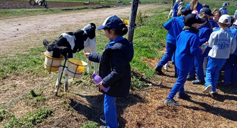 Las Delicias recibe a escuelas para visitas educativas