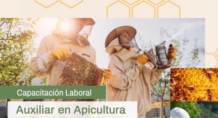 Comienzan las capacitaciones laborales de Auxiliar en Apicultura en distintos departamentos