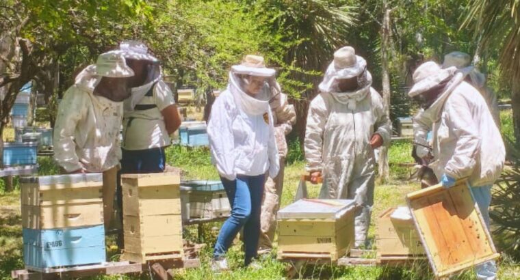 Jóvenes y adultos de la provincia se capacitan en apicultura